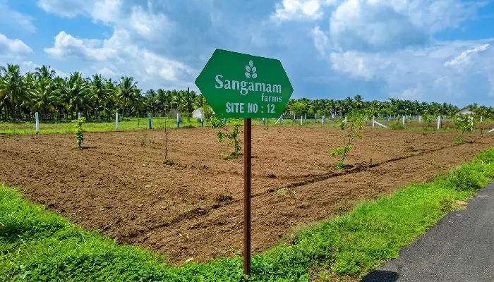 Sangamam Farms