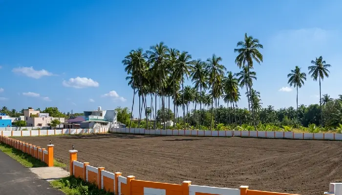 Blue Sky Farms